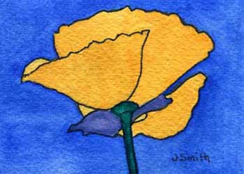 "Study In Color - Poppy #3" by Judi Smith, Fitchburg WI - Watercolor & Ink